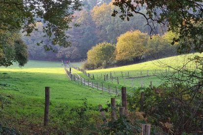 Ton's Wandelverslag | N70 Berg en Dal bij Nijmegen