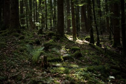 REISVERSLAG DUITSLAND | ACTIEVE AVONTUREN LANGS DE DONAU