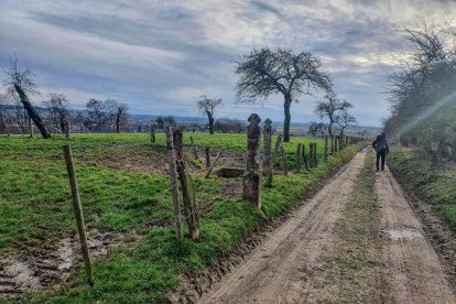 VERSLAG DUTCH MOUNTAIN TRAIL | Een lange natte vierde dag in Limburg