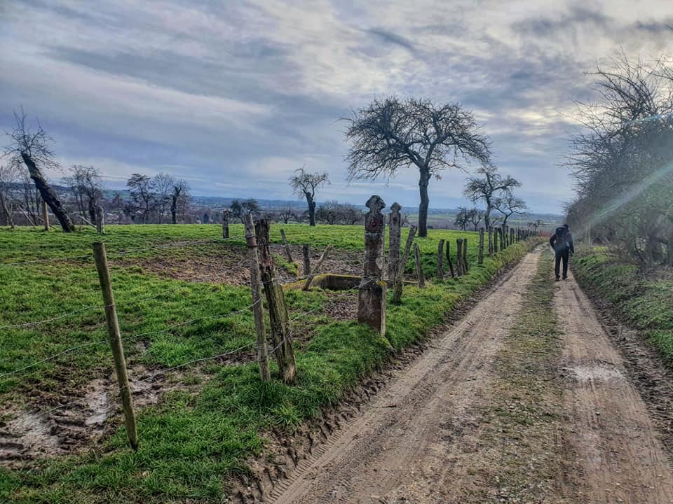 Dutch Mountain Trail
