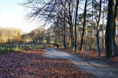 Dit is één van de mooiste mountainbike-routes van Nederland
