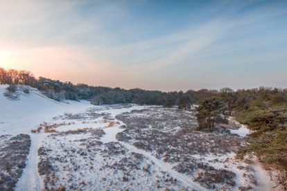 WINTERWEER | Woensdag sneeuw verwacht in Nederland