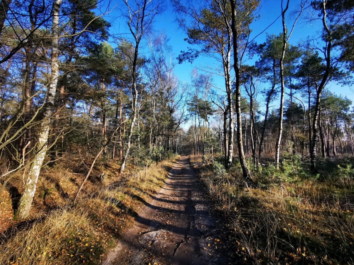 Dit is één van de mooiste mountainbikeroutes van Nederland