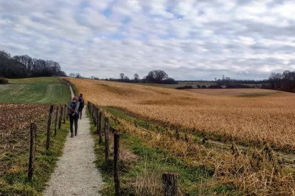 WANDELEN IN NL | Hoogtewandeling Valkenburg in Zuid-Limburg