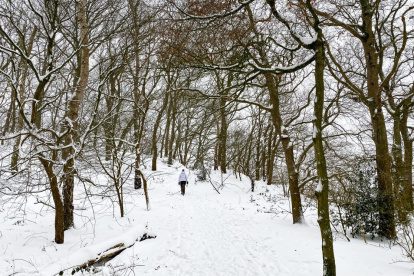WINTERWANDELEN IN NEDERLAND | Hoogwater, sneeuw en ijs in Gelderland