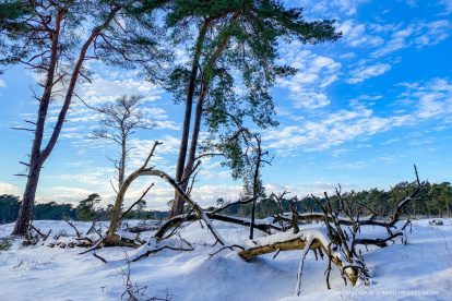 FOTO-WEDSTRIJD | Win leuke prijzen met je mooiste winterfoto's