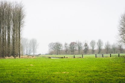 Wandelen rondom Landgoed Mariënwaerdt in de Betuwe