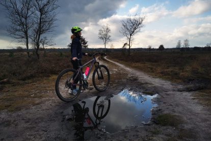 MTB-paradijs op de Sallandse Heuvelrug!