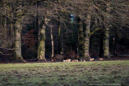 OUTDOORVERSLAG | Wandelen, wildspotten en wild cooking met Wildpraat