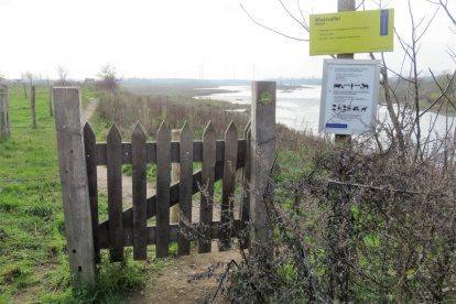 Wandelroute van het Jaar 2021 | Lange Afstandswandeling RivierPark Maasvallei