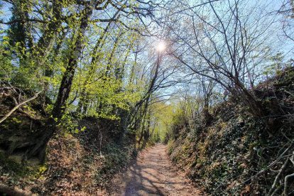 Wandelverslag Limburg | Mijn dagwandeling rondom de Vaalserberg