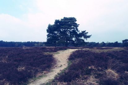 Mijn wandeltips voor een midweek Drenthe