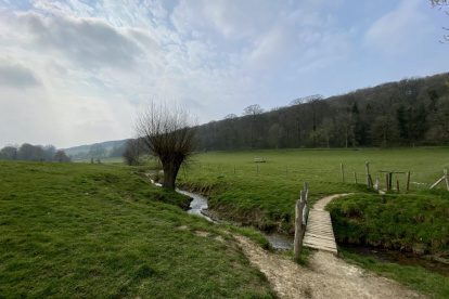 WANDELVERSLAG | Dutch Mountain Trail van Gulpen naar Mheer