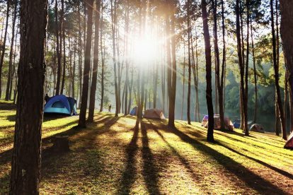 Zomer in Duitsland | Kamperen aan het water in het groene Nedersaksen