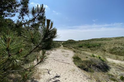 WADDENWANDELEN |  Banjeren over Terschelling