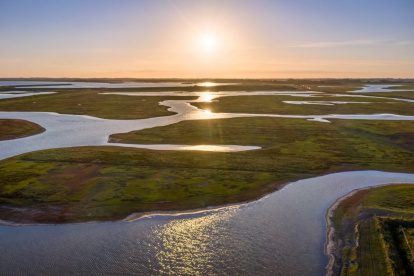 10 tips voor een geweldig bezoek aan Nationaal Park Oosterschelde