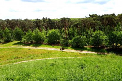 De Schinveldse Bossen: een wandelroute tussen de sterren