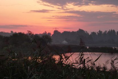 De Oostvaarderplassen, ervaren vanuit een ander perspectief