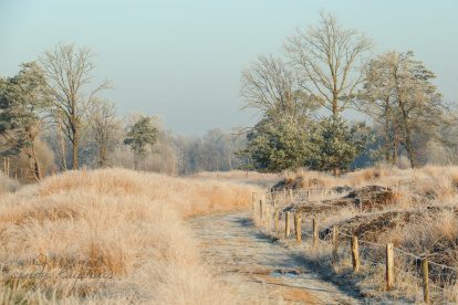 Engbertsdijkvenen. Een uitgestrekt hoogveengebied in Twente.