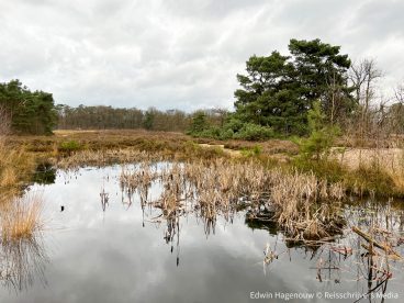 Digitale detox versus het praktische gebruik van smartphones in de natuur