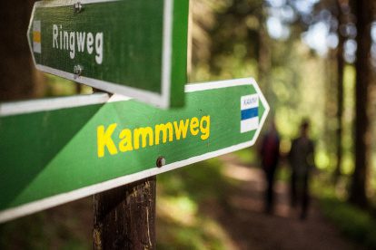 De Kammweg (bergtoppenweg) is een geweldige meerdaagse wandelroute door Saksen