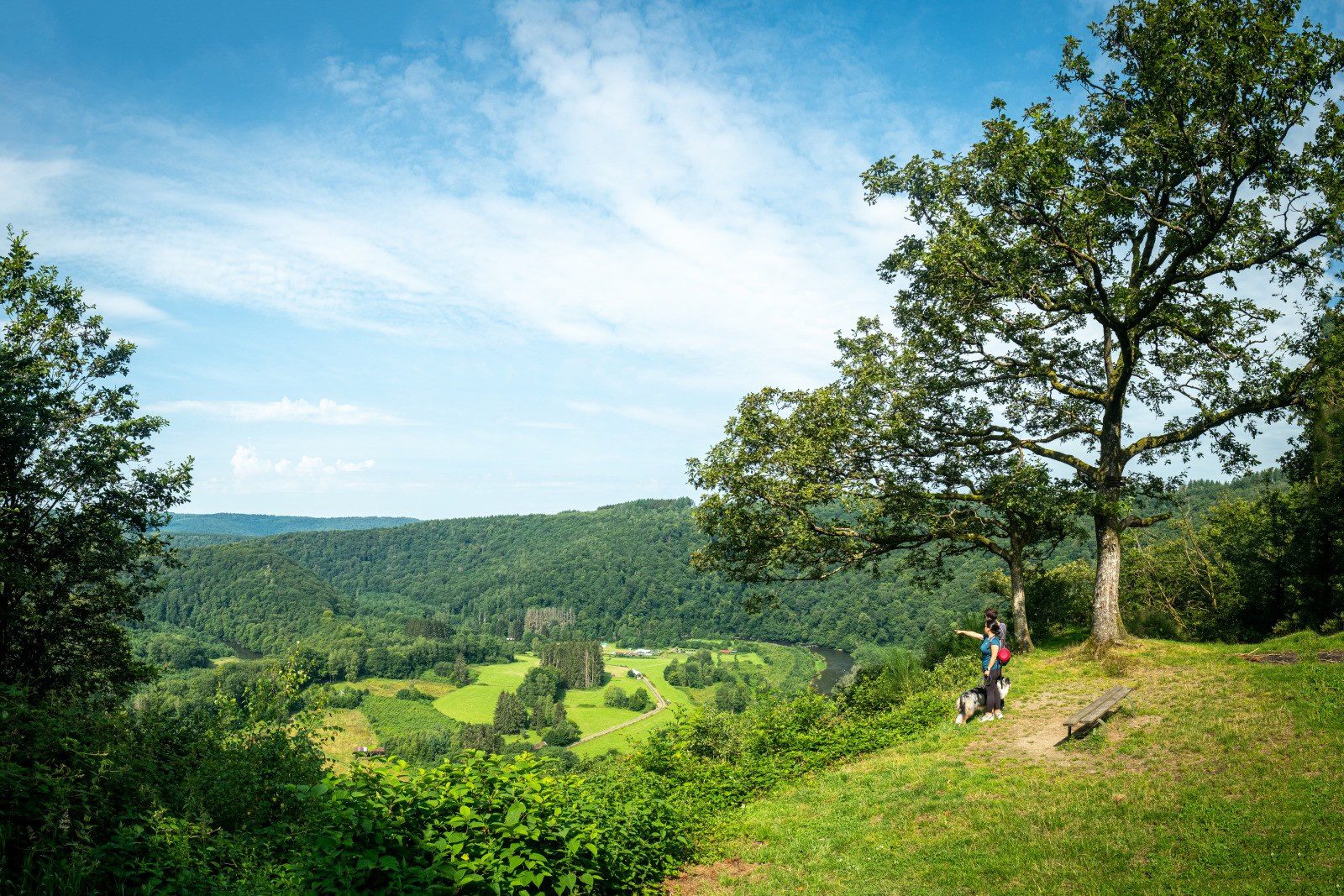 Wandelen in Wallonië | Dit zijn de vijf mooiste wandelingen in de Ardennen