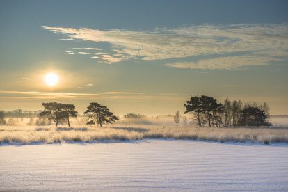 Drie tips voor winterse activiteiten in de Nationale Parken van Nederland