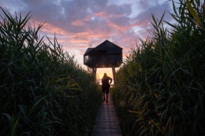Negen dingen die je gedaan moet hebben in Nationaal Park Waddenzee