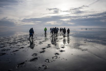 Wat?! Wadlopen in de winter is waanzinnig!