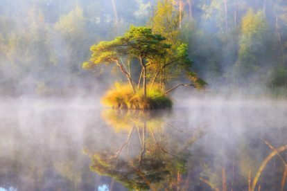 Vijf leuke manieren om het Van Gogh Nationaal Park te leren kennen
