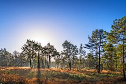 Een ultieme wandeltocht tussen Bremen en Hamburg