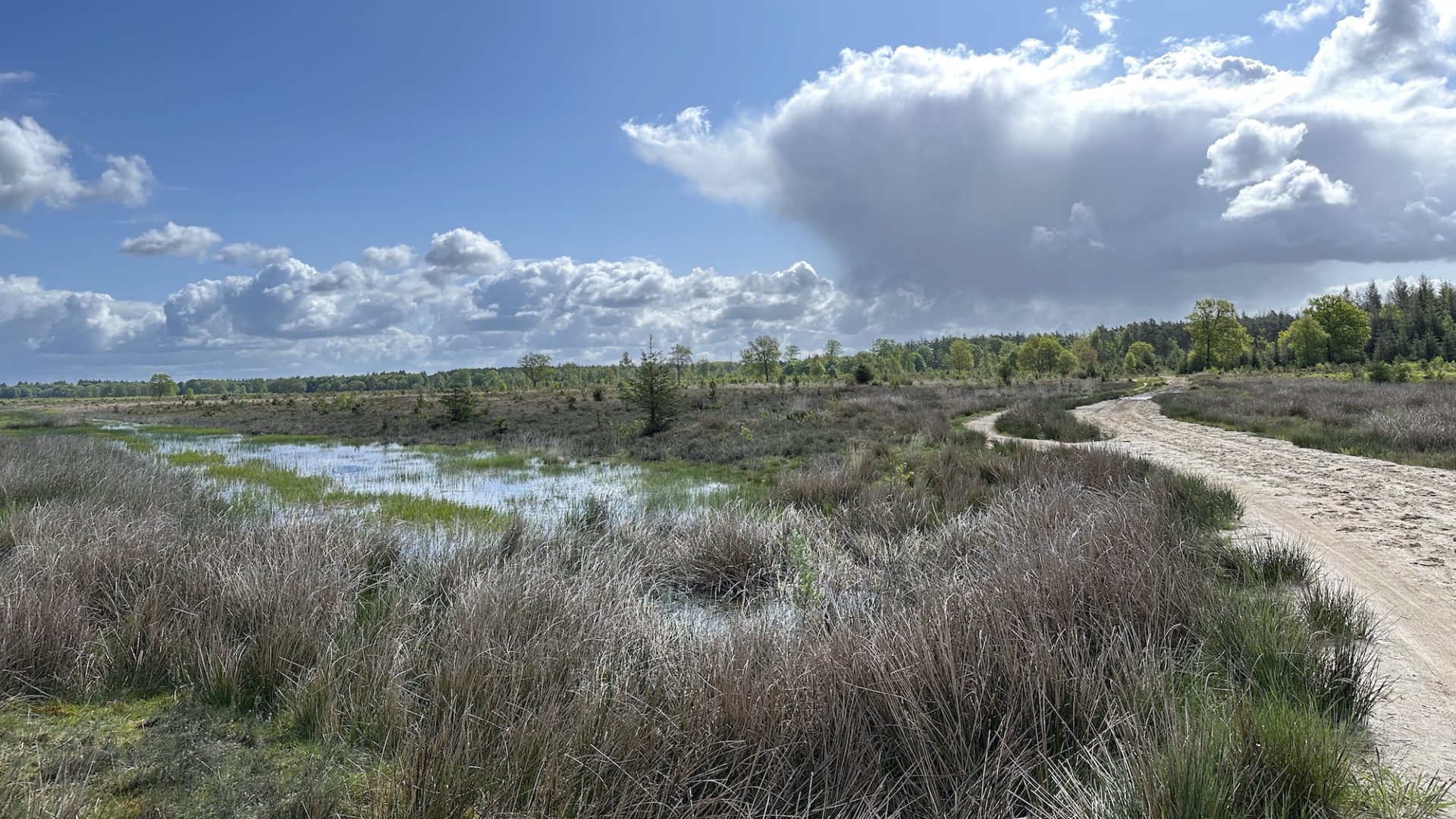 Drents Friese Wold Drenthe