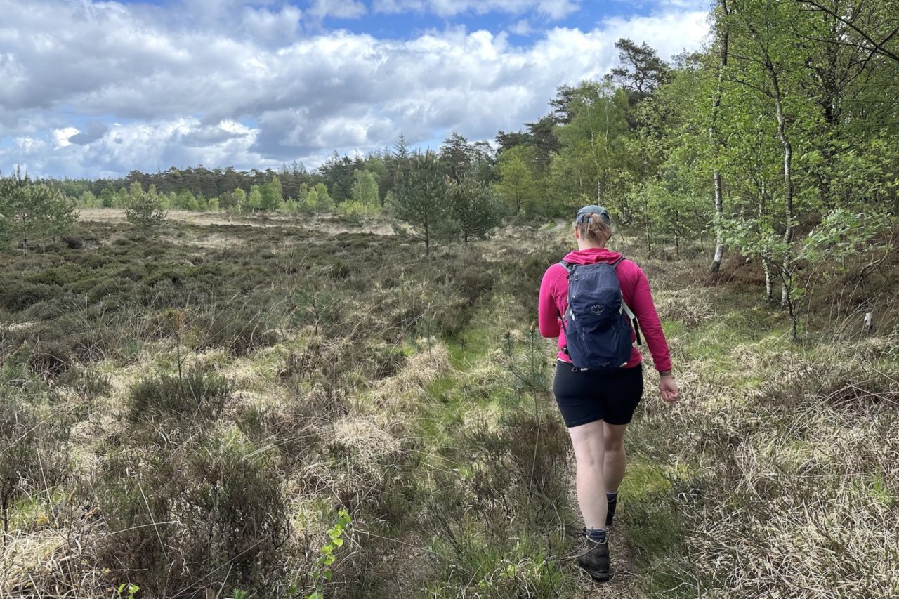 Drents Friese Wold Drenthe