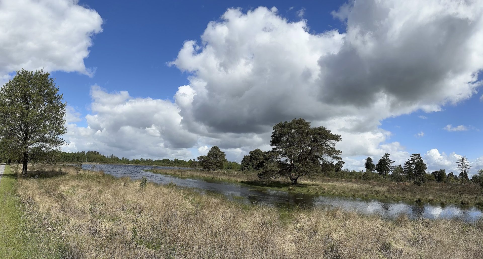 Wandelverslag Drenthe | Actief genieten en relaxen in de Oerprovincie