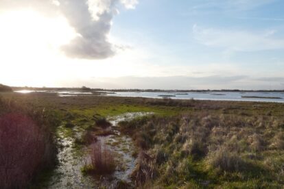 Fotoverslag Mariëndal. Van bollen terug naar nollen.