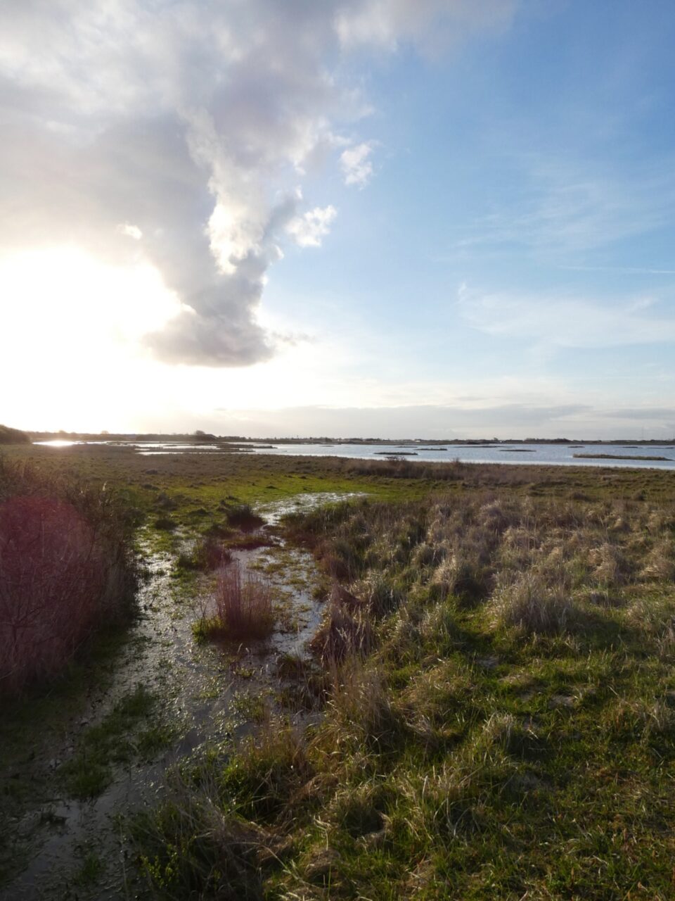 Fotoverslag Mariëndal. Van bollen terug naar nollen.
