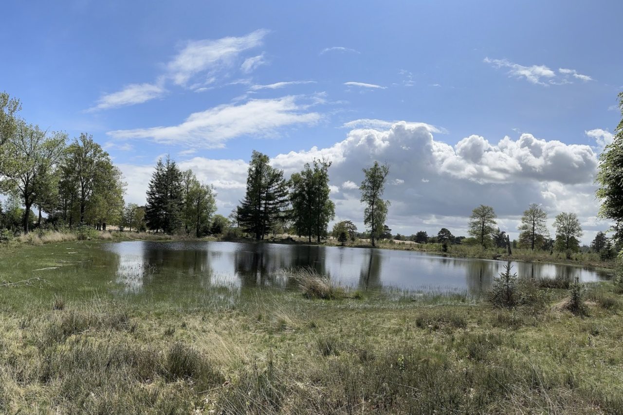 Drents Friese Wold Drenthe