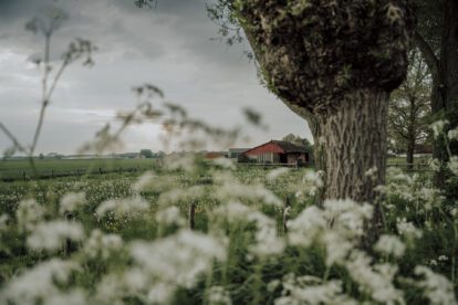 West-Zeeuws-Vlaanderen | 7x de mooiste plekken
