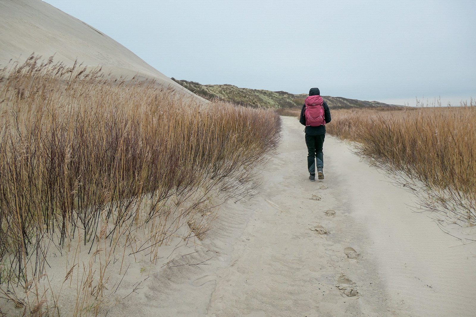 Terschelling Boschplaat