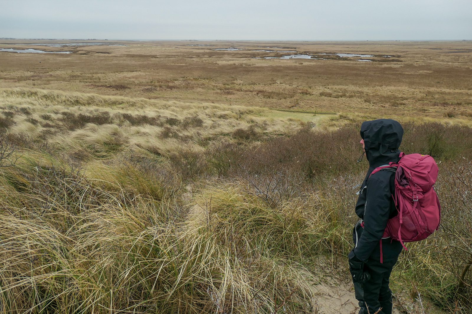 Terschelling