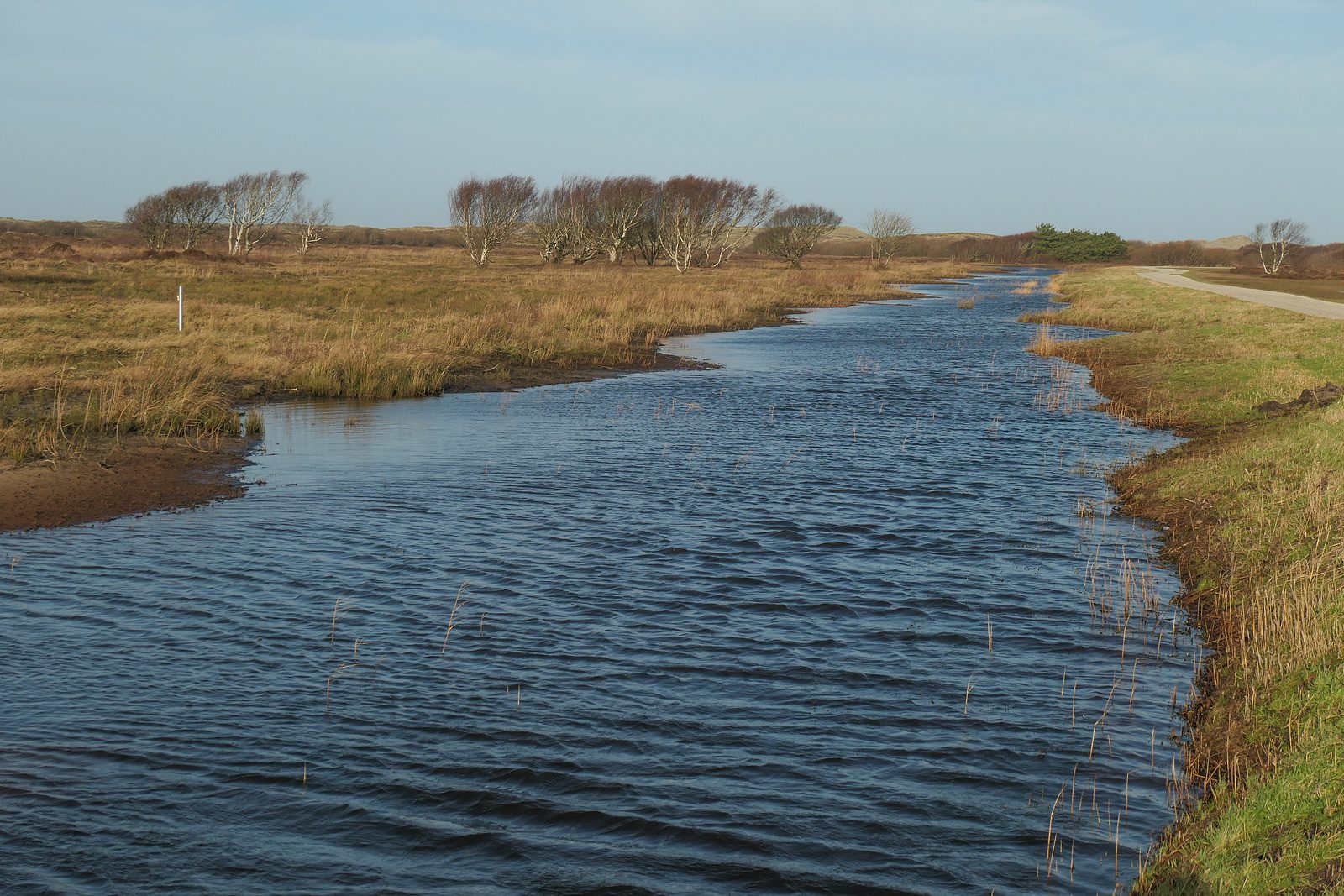 Terschelling