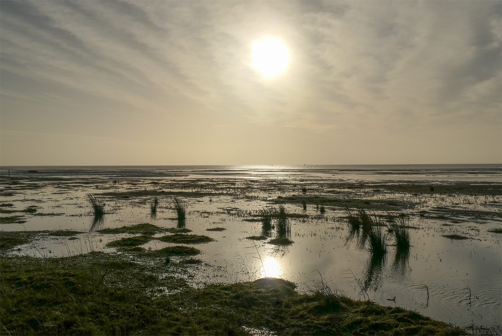 Terschelling Noordsvaarder