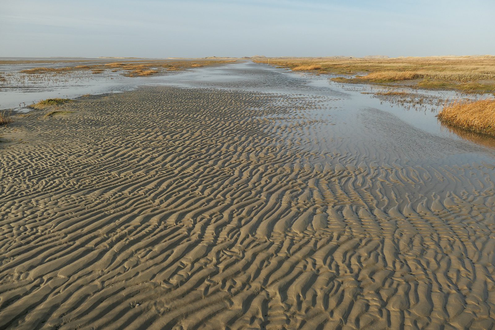 Terschelling Noordsvaarder