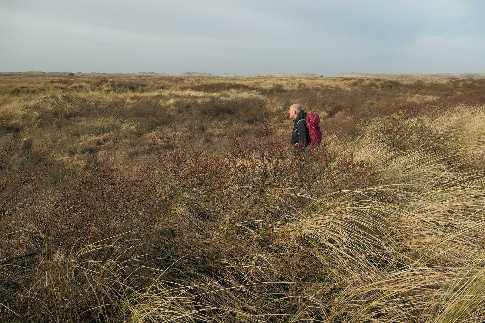 Terschelling Noordsvaarder