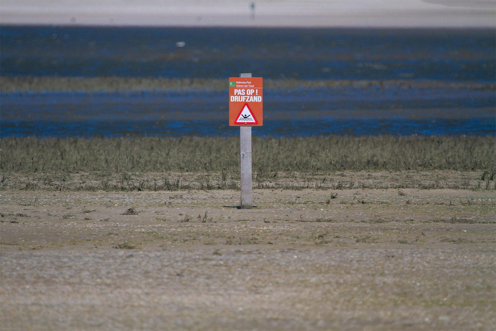 Texel