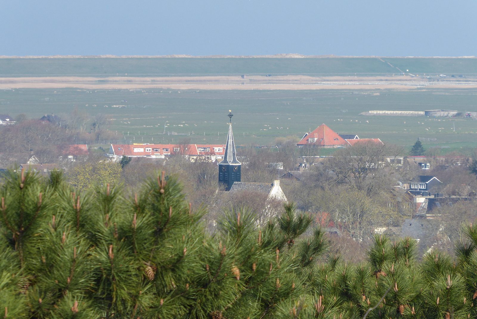 Schoorl