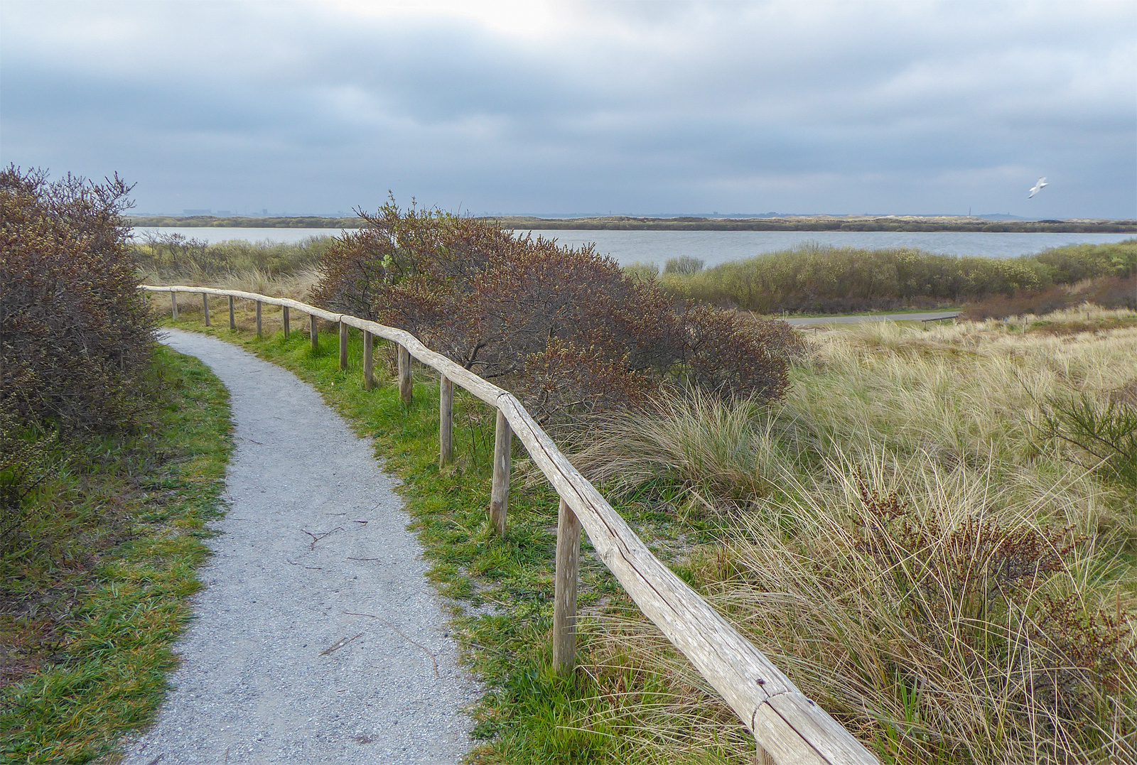 Texel