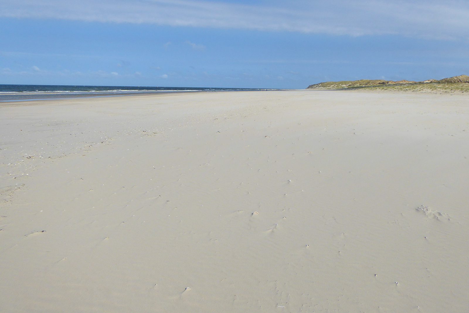 Texel