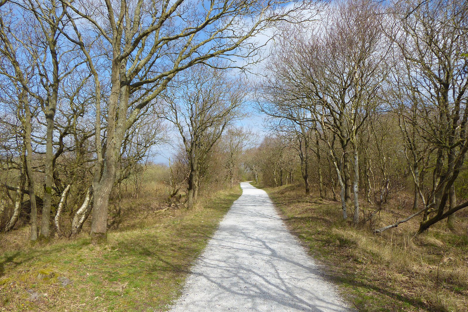 Callantsoog