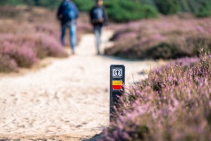 Adembenemend Drenthe | Vijf unieke stukjes Drenthepad